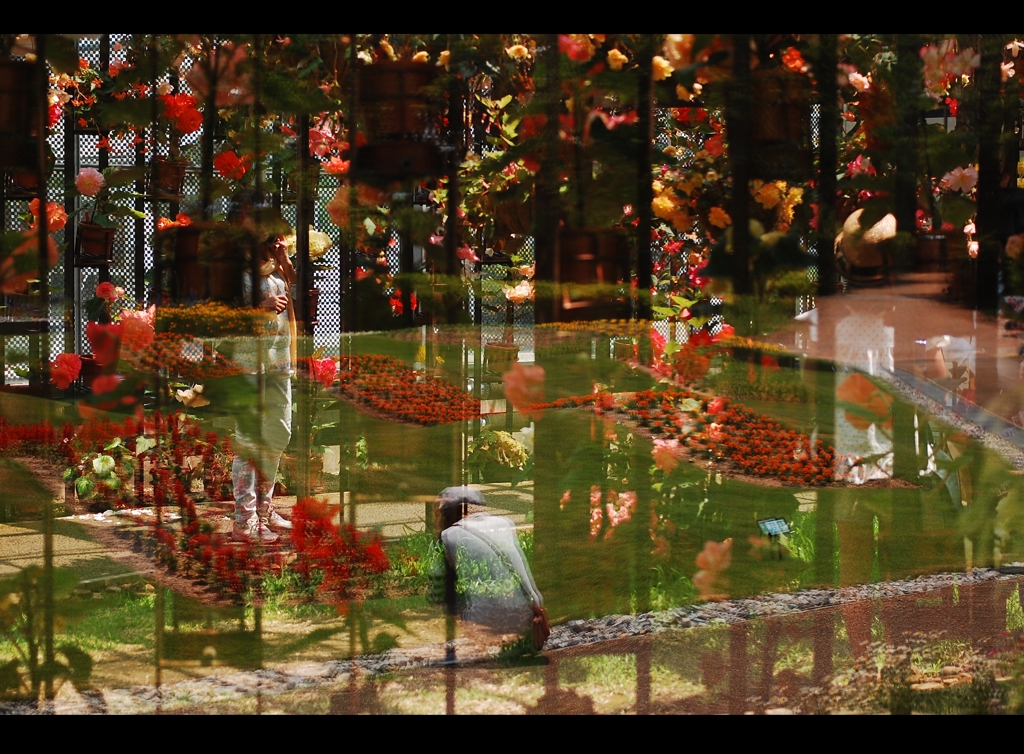 写り変わる。