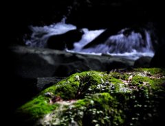 涼と陽向