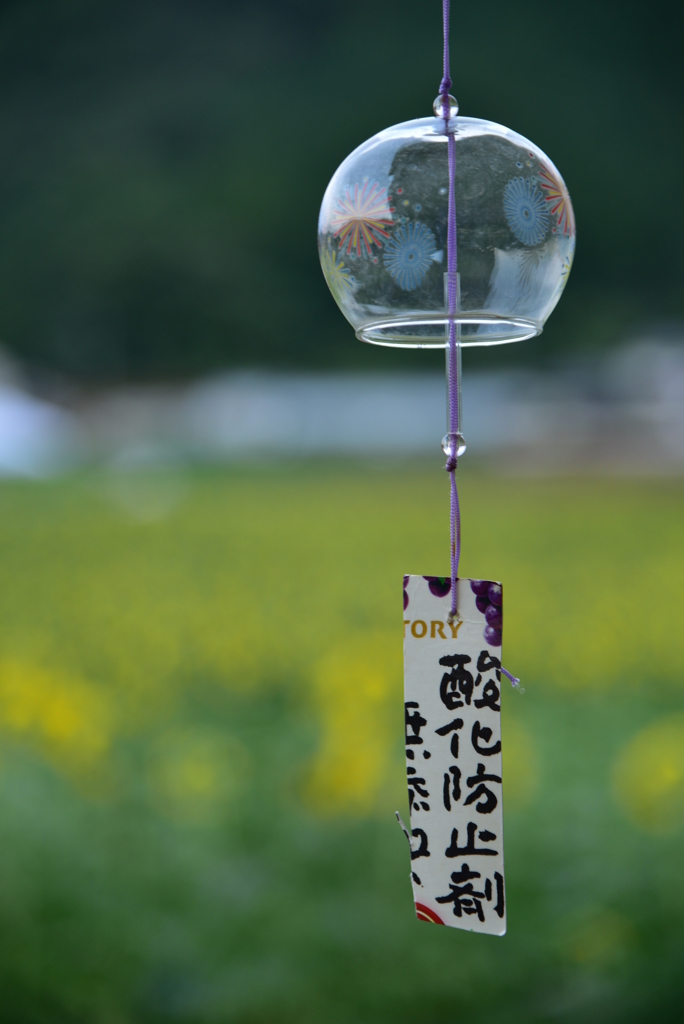 アンチ エイジング風鈴。