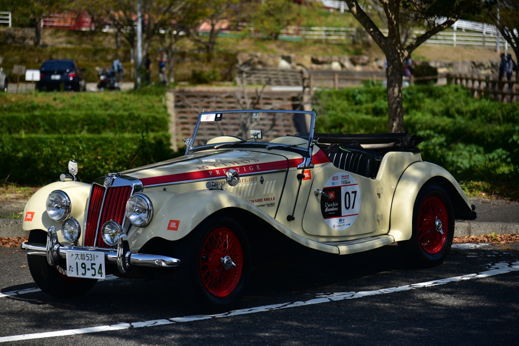 MG-TG（1954）＋Ⅱ.