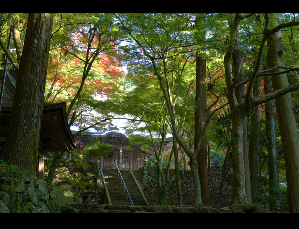 荘厳寺の秋