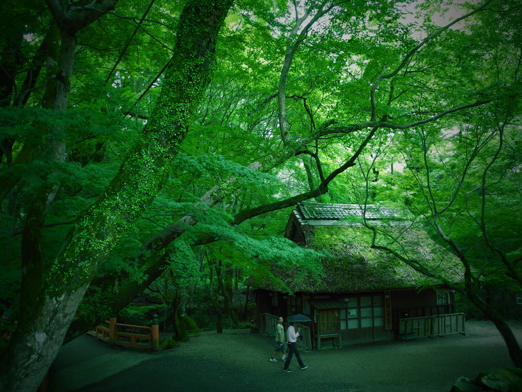 奈良の散歩道。