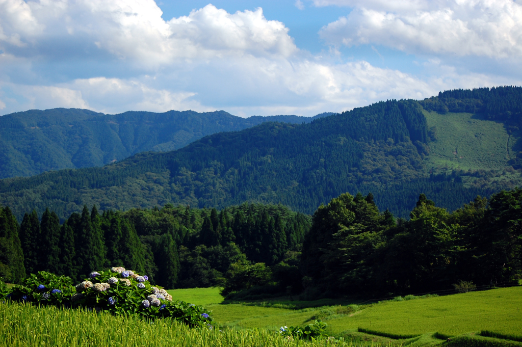 馬肥える青空。