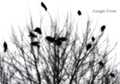 其れなりの其処は彼と無い世界