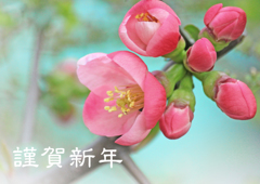 本年もよろしくお願いいたします