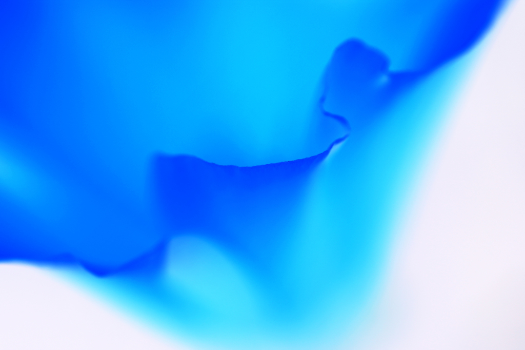 蒼の器
