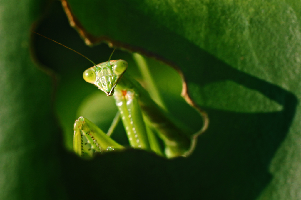 お隣さんのお出かけ