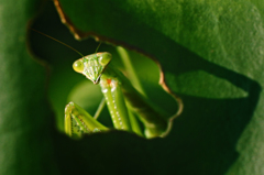 お隣さんのお出かけ