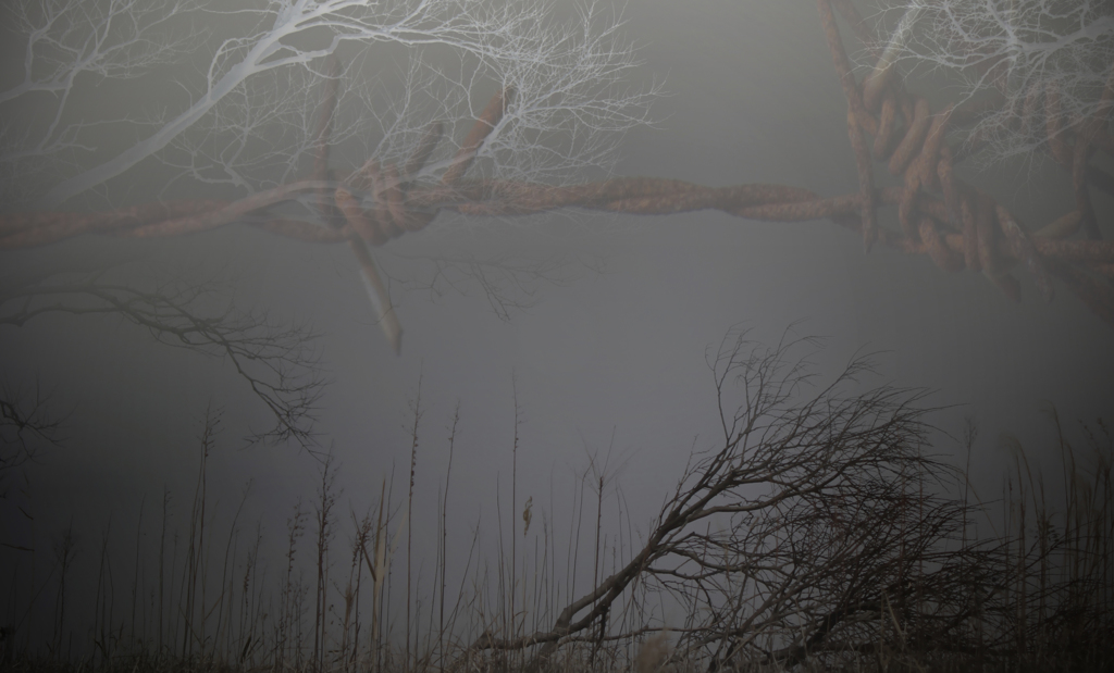 既視体験の予感