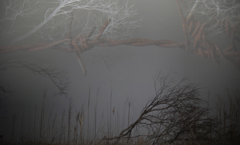 既視体験の予感