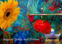 魔法の薬の作り方