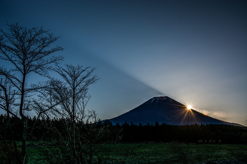 コロコロ富士
