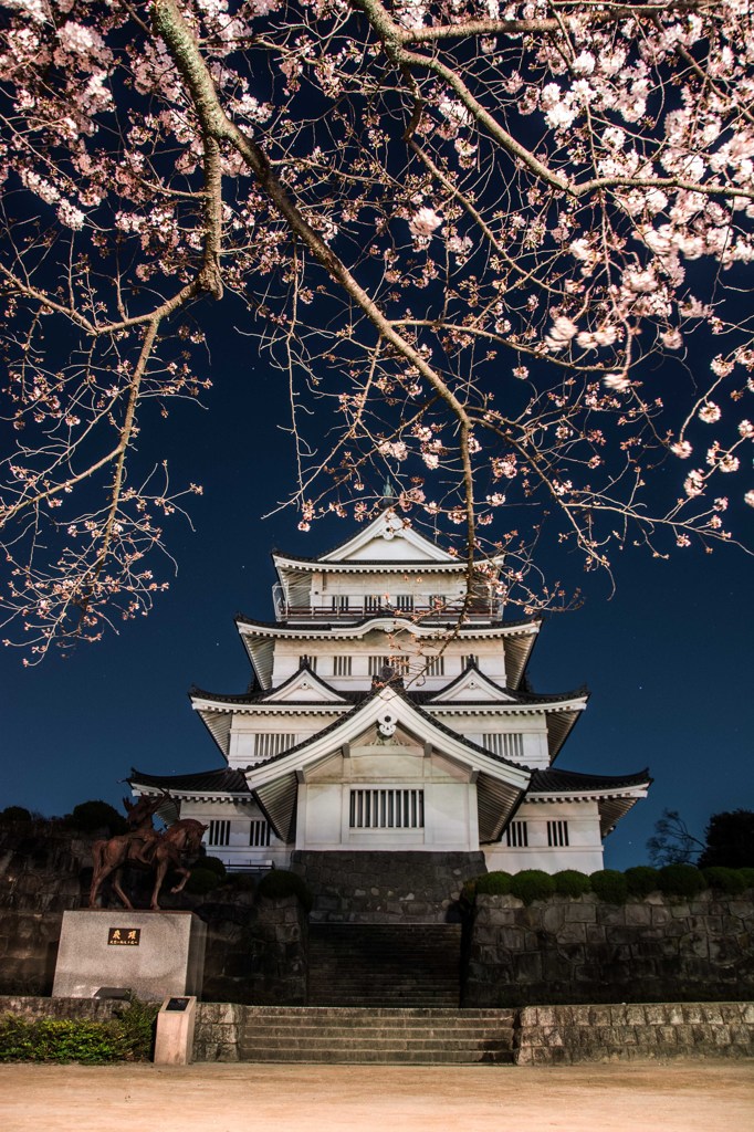 ７分桜とお城