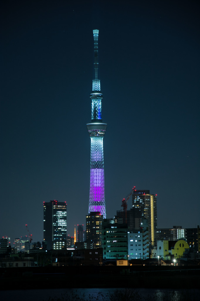 スカイツリーと東京タワー