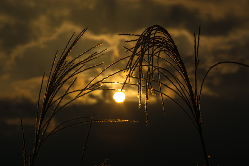 秋の夕暮れ