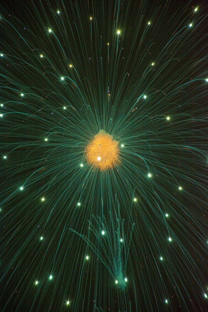 深海生物