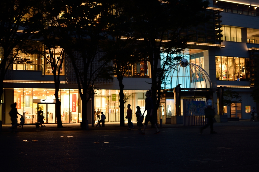 DSC_0658