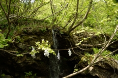 長野旅行 048