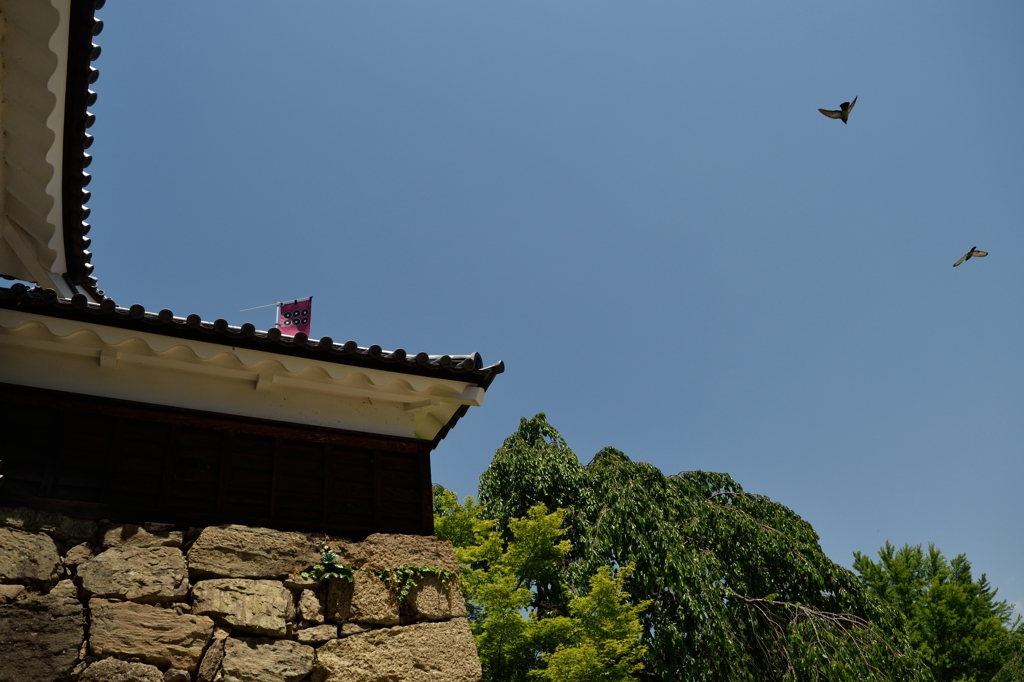 長野旅行 100
