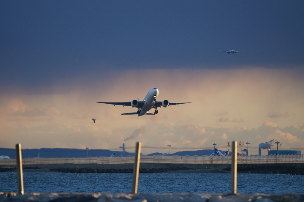 羽田から離陸する飛行機 By Baureihe01 Id 写真共有サイト Photohito