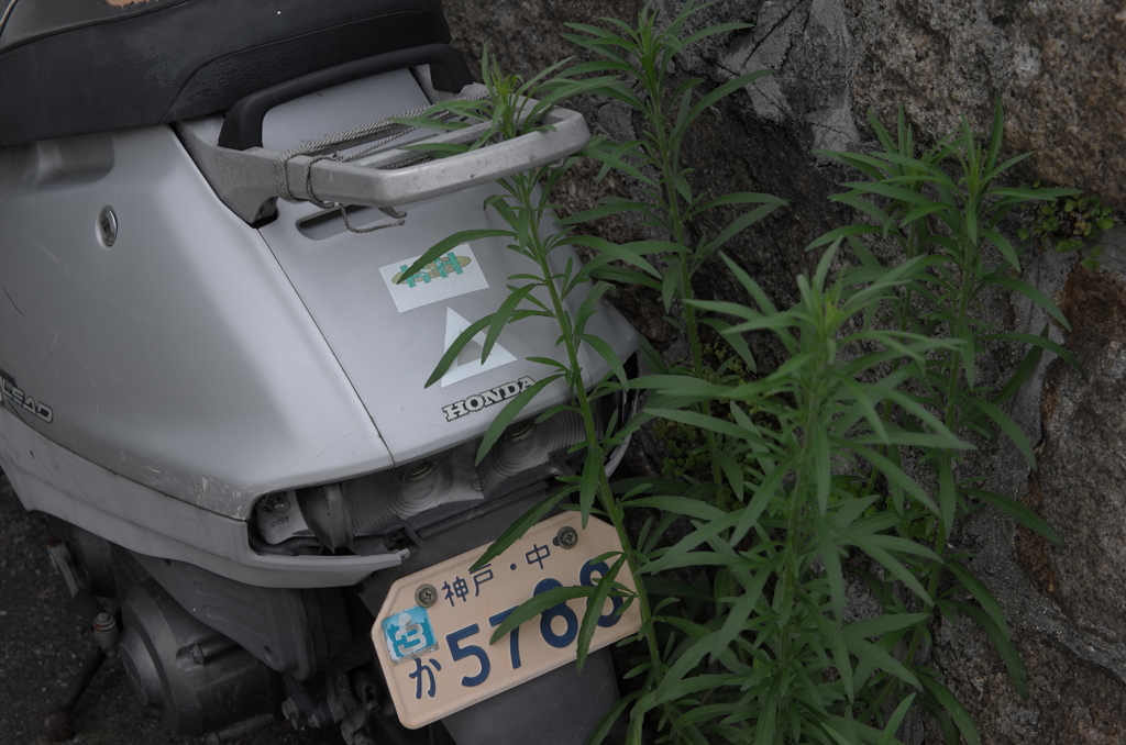 L1000456