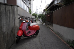 L1000426