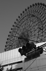 L1000568