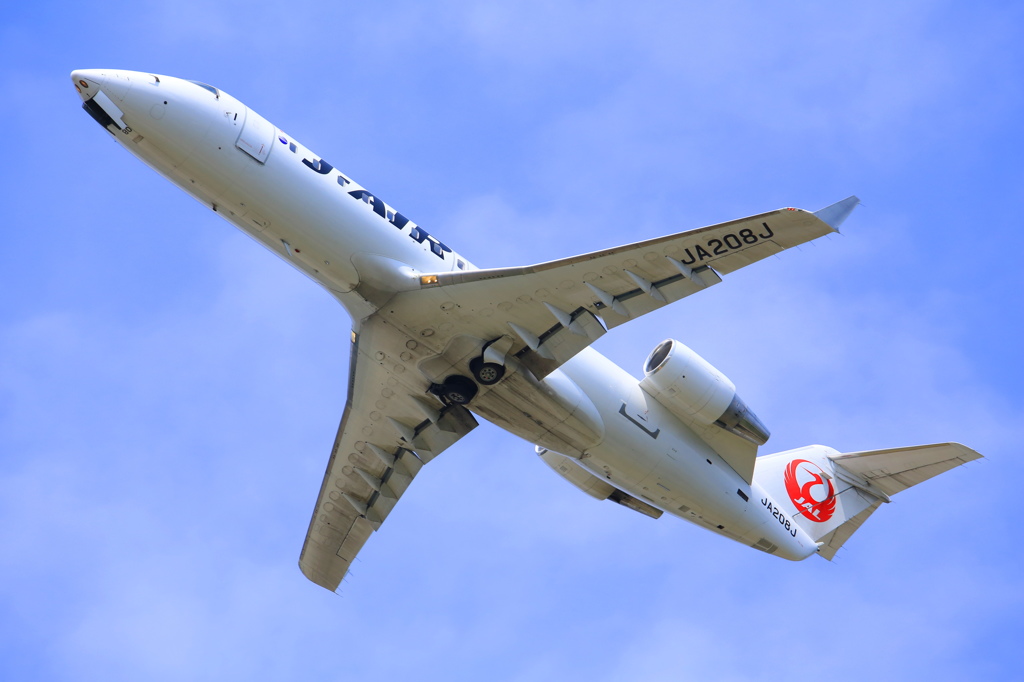 飛行機①