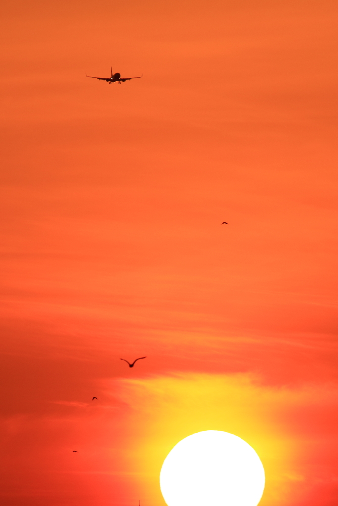 夕陽の中