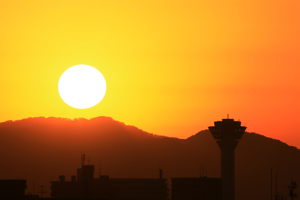 五稜郭タワー夕景