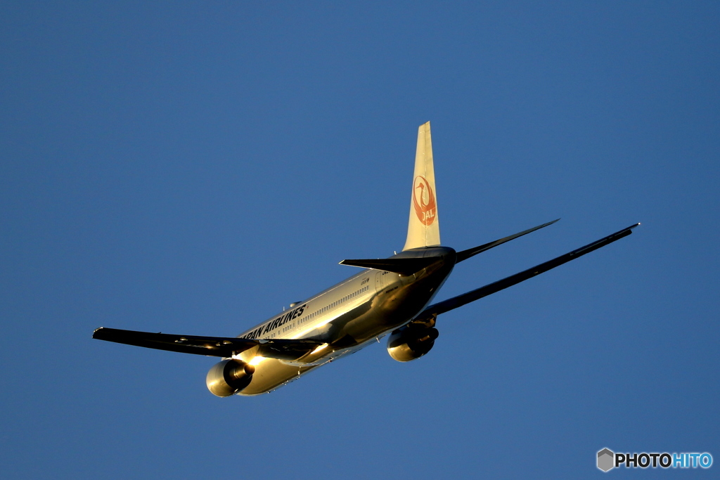 GOLD767