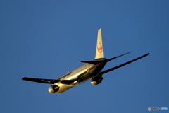 GOLD767