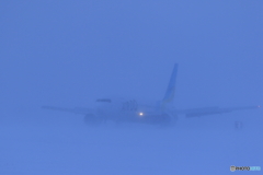 雪の中