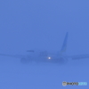 雪の中