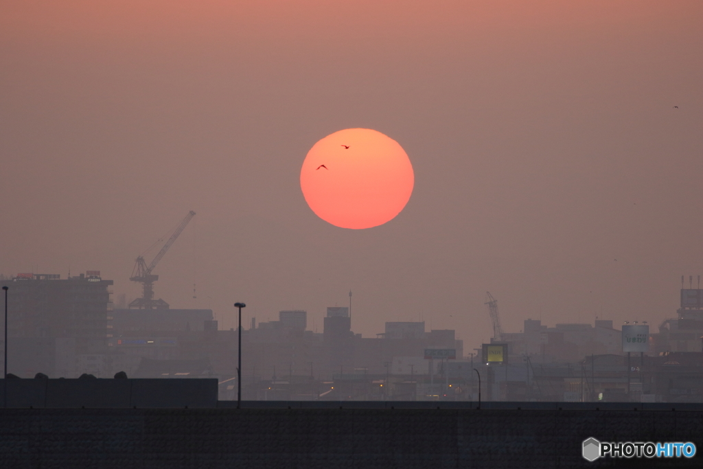 夕陽に