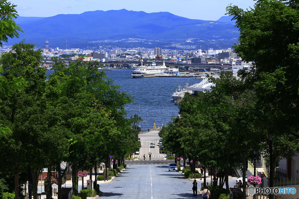 盛夏の八幡坂