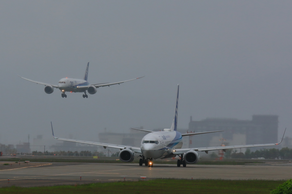 ANA×２