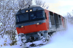 RED　BEAR今日も行く
