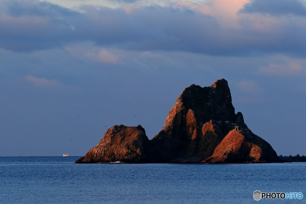 武井の島