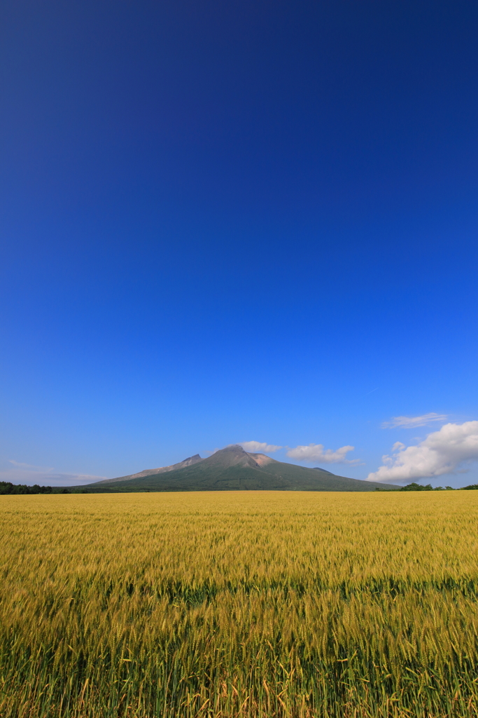 黄金と駒ヶ岳