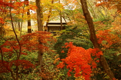 旧岩船氏庭園