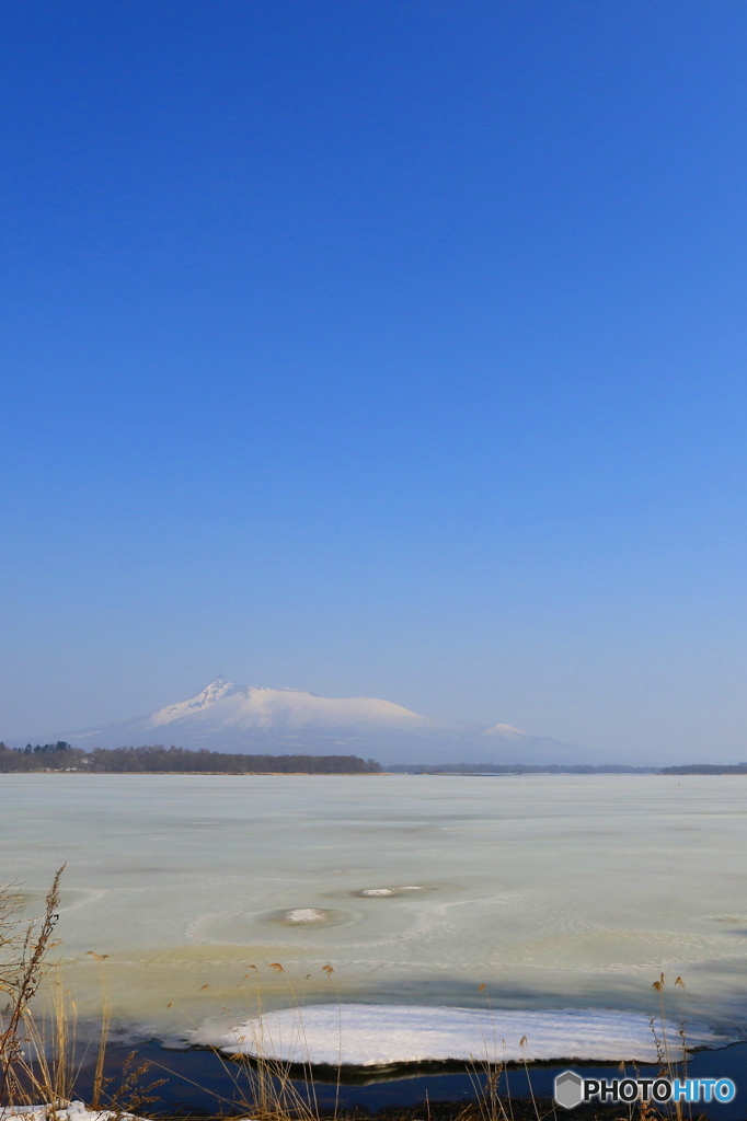 春のきざし(駒ヶ岳)