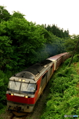 盛夏の赤熊