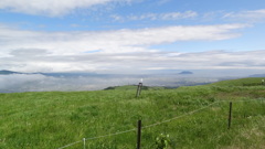 きじひき高原