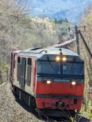 DF200