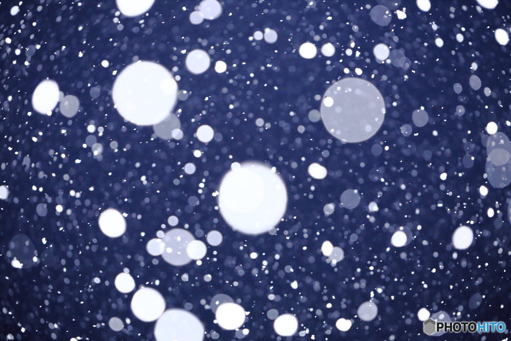 雪やコンコ・・・