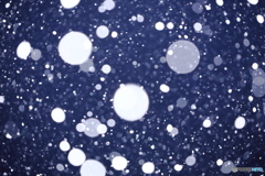 雪やコンコ・・・