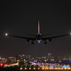 JAL B767