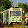 電車の花