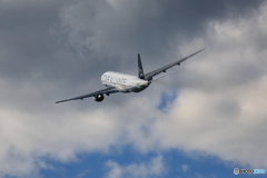 STAR ALLIANCE②